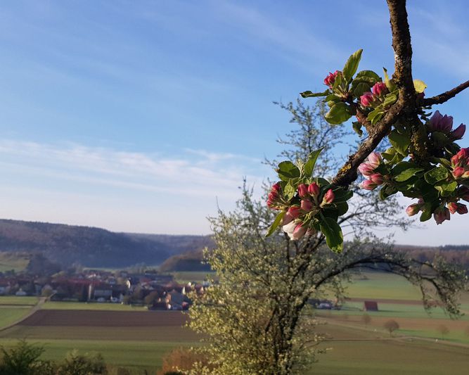 Abb. Ringhotel sKreuz