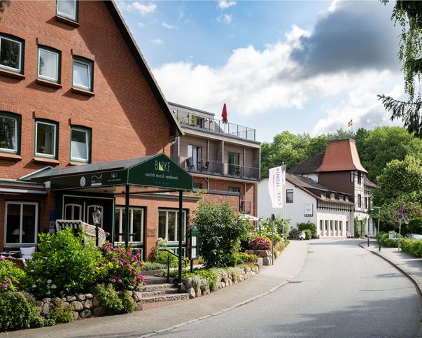 Abb. Ringhotel Birke