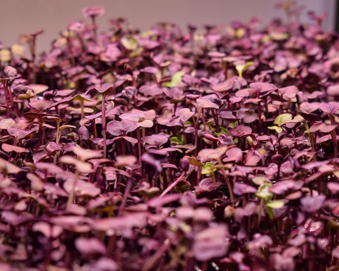 Abb. Landhotel Rügheim