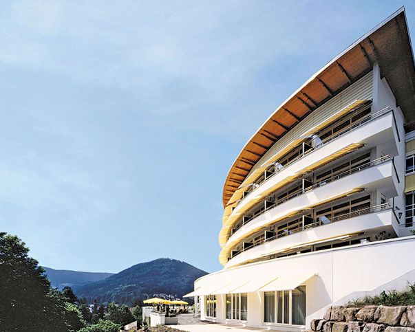 Abb. SCHWARZWALD PANORAMA