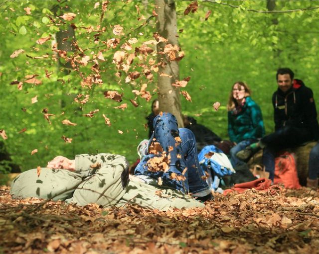 Abb. Tagen & Natur - Thematische Waldführungen im GenoHotel