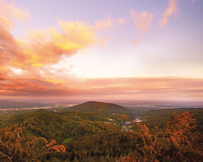 Abb. SCHWARZWALD PANORAMA