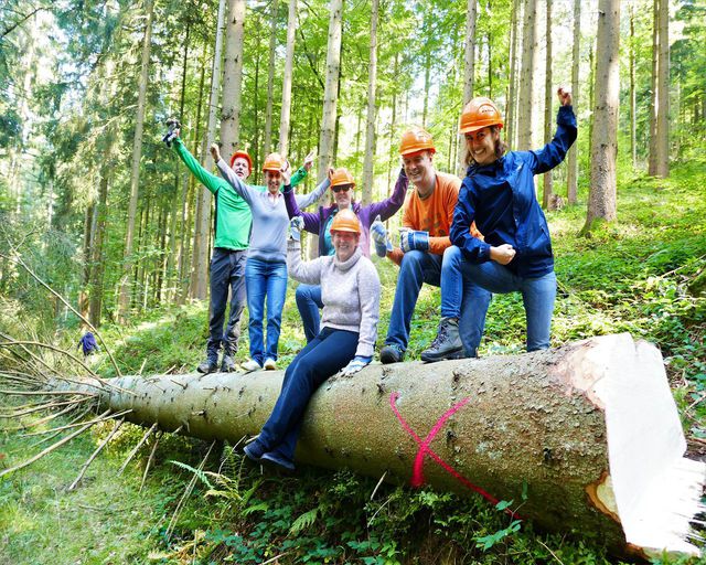 Abb. Holzfäller für einen Tag: Kreative Zeitvertreibe im Schwarzwald