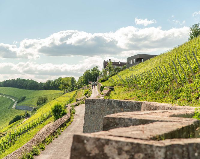 Abb. Schlosshotel Steinburg