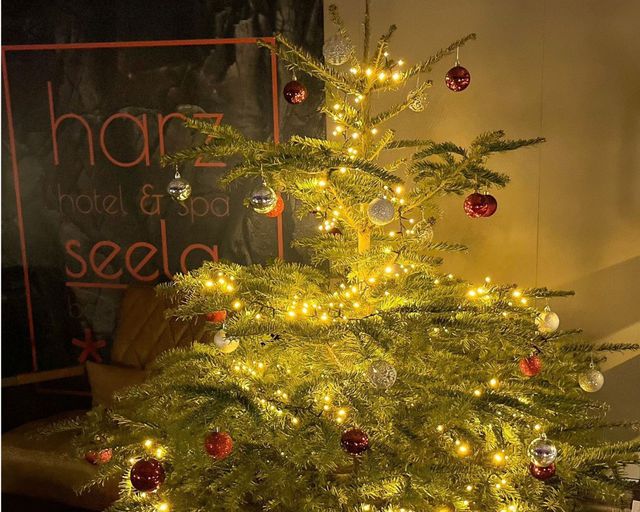 Abb. Weihnachtswald & Tagungen