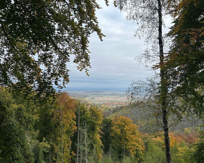 Abb. Harz Hotel & Spa Seela