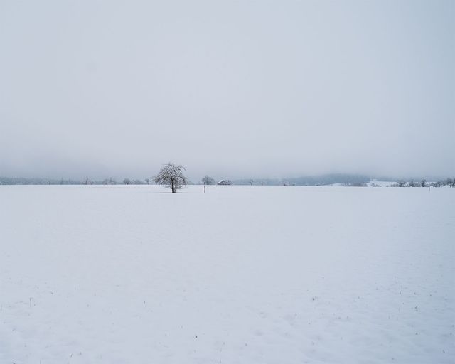 Abb. Schnee im Schwarzwald