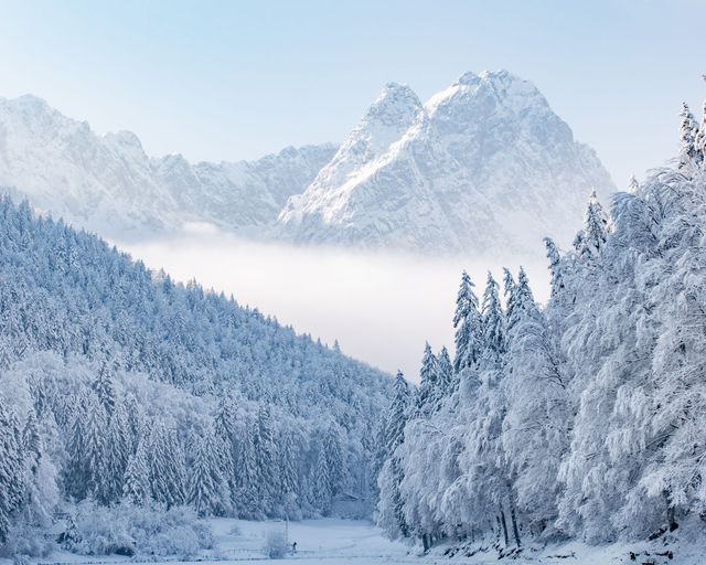 Abb. Beste Aussichten auf ein neues Jahr