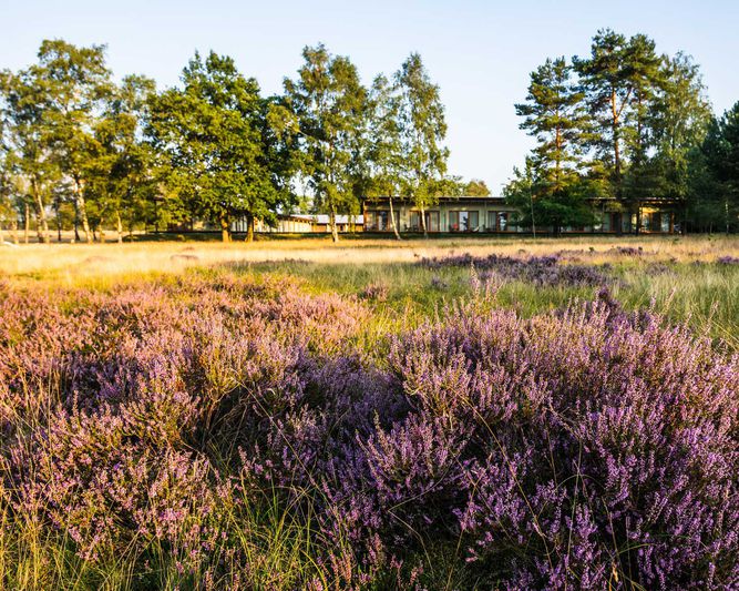 Abb. HOTELCAMP REINSEHLEN