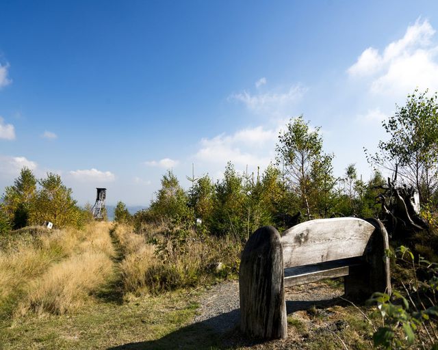 Abb. Natur als Erfolgsfaktor