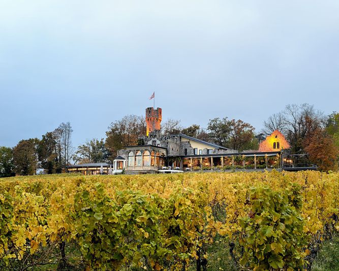 Abb. Relais & Chateaux Hotel Burg Schwarzenstein